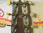 Rickenbacker Academy/6 LapSteel, Brown: Headstock - Rear