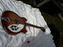Rickenbacker 360/12 , Fireglo: Close up - Free