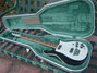 Rickenbacker 460/6 , Jetglo: Free image