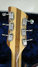 Rickenbacker 335/6 , Mapleglo: Headstock - Rear