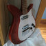 Rickenbacker 950/6 Combo, Fireglo: Close up - Free2