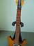Rickenbacker 430/6 , Natural: Neck - Front