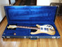 Rickenbacker 481/6 Slant Fret, Mapleglo: Free image