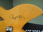Rickenbacker 330/12 , Mapleglo: Close up - Free