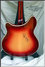 Rickenbacker 370/12 RM, Fireglo: Full Instrument - Rear