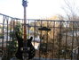 Rickenbacker 4001/4 Mod, Jetglo: Full Instrument - Front