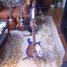 Rickenbacker 620/6 Mod, Custom: Full Instrument - Front