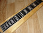 Rickenbacker 102/6 LapSteel, Blonde: Neck - Front