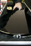 Jul 2008 Rickenbacker 660/12 , Jetglo: Body - Rear