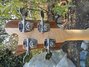 Rickenbacker 4003/4 , Mapleglo: Headstock - Rear