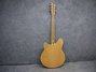Rickenbacker 360/6 , Mapleglo: Full Instrument - Rear