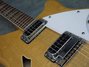 Rickenbacker 360/6 , Mapleglo: Close up - Free