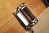 Rickenbacker 360/6 , Mapleglo: Free image