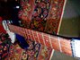 Rickenbacker 330/6 VP, Midnightblue: Neck - Front