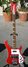 Rickenbacker 4001/4 Refin, Ruby: Full Instrument - Front