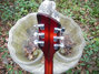 Rickenbacker 330/6 , Fireglo: Headstock - Rear