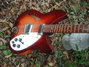 Rickenbacker 330/6 , Fireglo: Body - Front