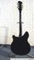 Rickenbacker 370/12 SPC, Jetglo: Full Instrument - Rear