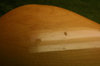 Rickenbacker 4001/4 , Mapleglo: Body - Rear