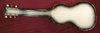 Rickenbacker 59/6 LapSteel, Gray Sunburst: Full Instrument - Rear