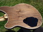 Rickenbacker 380/6 Laguna piezo, Natural: Body - Rear