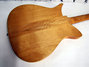 Rickenbacker 1000/6 Refin, Fireglo: Body - Rear