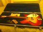 Rickenbacker 330/6 , Fireglo: Full Instrument - Front