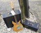 Rickenbacker 850/6 Combo, Natural: Free image