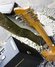 Rickenbacker 850/6 Combo, Natural: Headstock - Rear