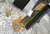 Rickenbacker 850/6 Combo, Natural: Full Instrument - Front