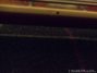 Rickenbacker 4003/4 , Fireglo: Neck - Front