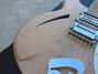 Rickenbacker 370/12 VP, Mapleglo: Close up - Free2