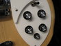 Rickenbacker 360/12 , Mapleglo: Close up - Free