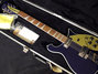 Rickenbacker 660/12 , Midnightblue: Neck - Front