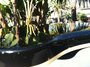 Rickenbacker 4003/4 , Jetglo: Close up - Free