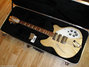 Rickenbacker 360/12 VP, Mapleglo: Full Instrument - Front