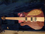 Rickenbacker 650/6 Excalibur, Natural: Free image