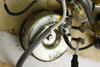 Rickenbacker 4001/4 , Mapleglo: Close up - Free2