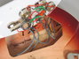 Rickenbacker 360/12 WB, Fireglo: Close up - Free2