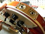 Rickenbacker 620/12 , Fireglo: Close up - Free