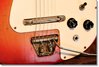 Rickenbacker 425/6 Setneck, Fireglo: Free image
