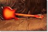 Rickenbacker 425/6 Setneck, Fireglo: Full Instrument - Rear