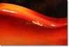 Rickenbacker 425/6 Setneck, Fireglo: Close up - Free2