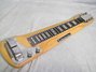 Rickenbacker 102/6 LapSteel, Blonde: Close up - Free