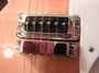 Rickenbacker 360/6 , Fireglo: Free image