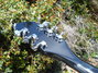 Rickenbacker 360/12 , Jetglo: Headstock - Rear