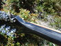 Rickenbacker 360/12 , Jetglo: Neck - Rear
