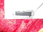 Rickenbacker 4001/4 FL, Mapleglo: Free image2