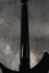 Rickenbacker 350/12 V63, Jetglo: Neck - Rear