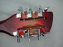 Rickenbacker 620/12 , Fireglo: Headstock - Rear